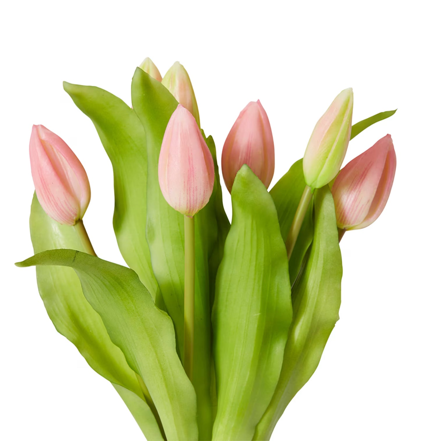Realistic Artificial Tulip Bud Bundle - 18 x 18 x 30cm image 1