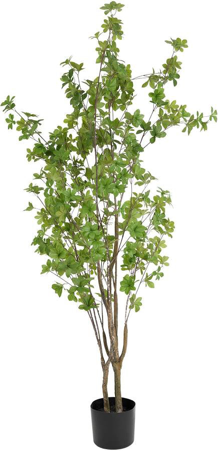 Artificial Schefflera Tree 152cm image 0