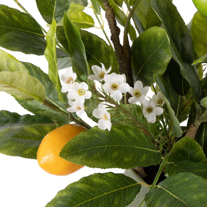 ROGUE CITRUS LEAF - MALIAH POT GREEN image 1