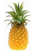 Artificial Pineapple