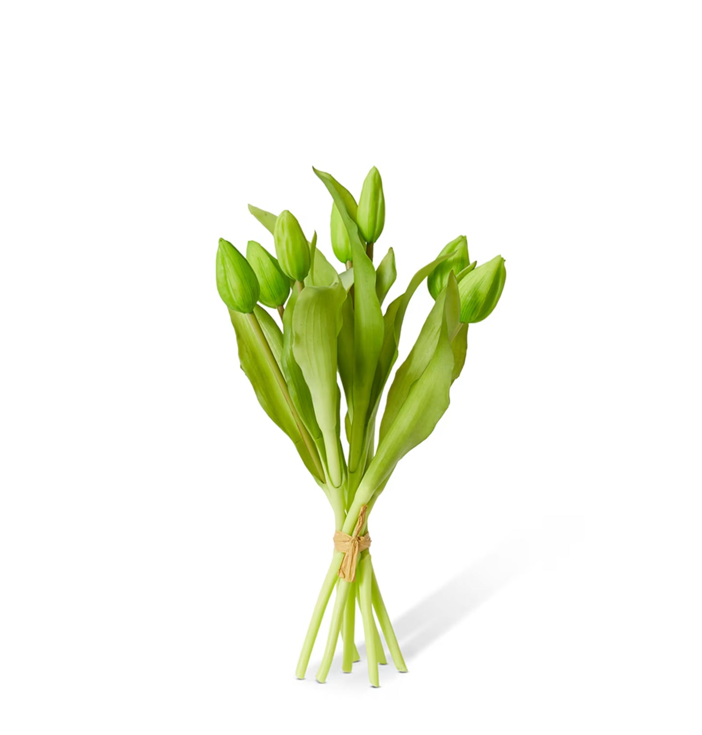 Realistic Artificial Tulip Bud Bundle - 22 x 22 x 30cm image 0