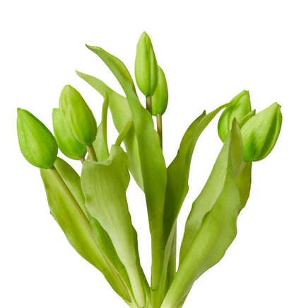 Realistic Artificial Tulip Bud Bundle - 22 x 22 x 30cm image 1