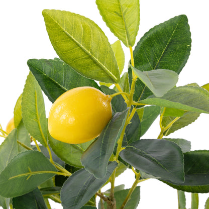 ROGUE LEMON TREE POT GREEN image 1
