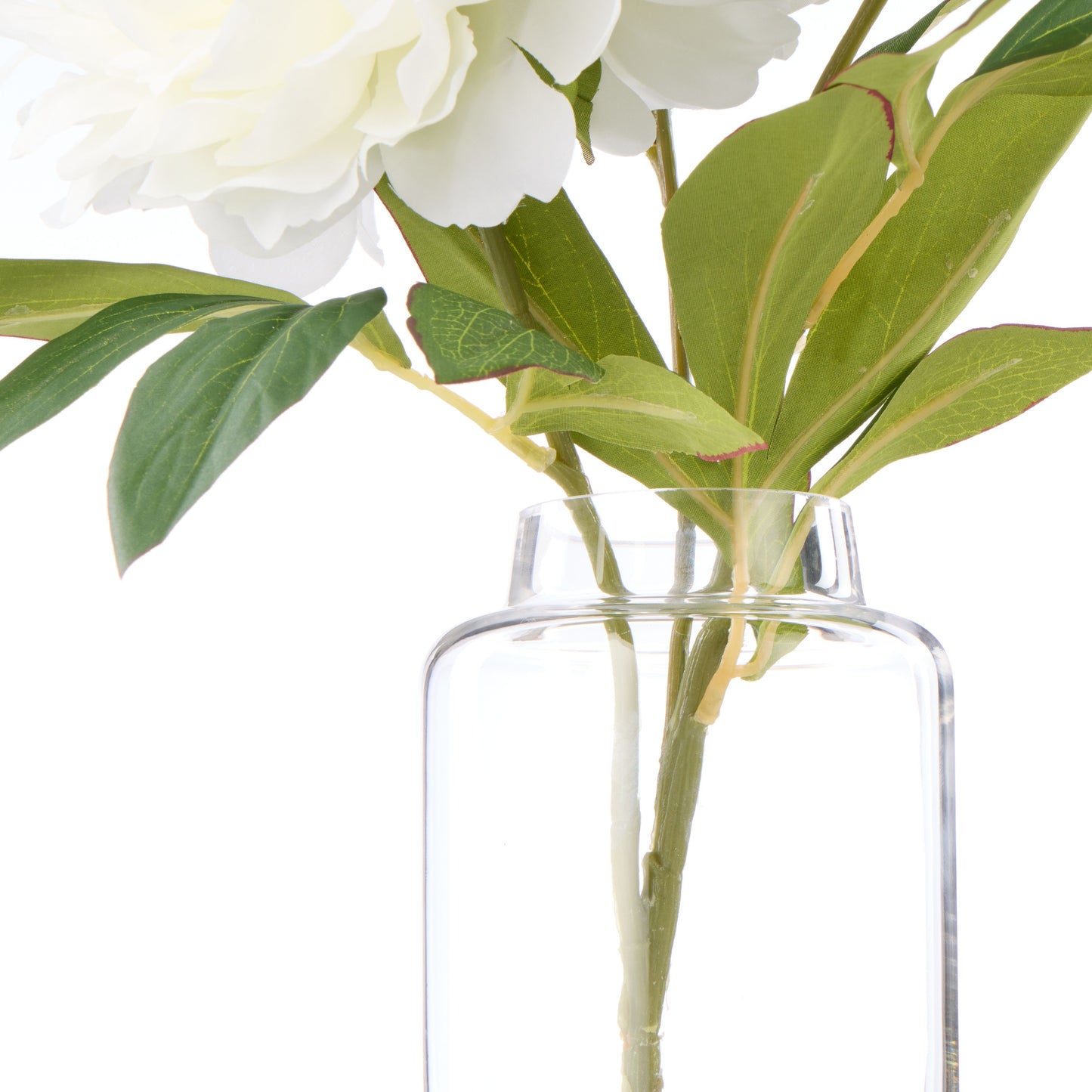 ROGUE PEONY STEM-PAULINE VASE WHITE image 2