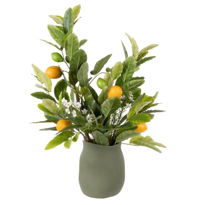 ROGUE CITRUS LEAF - MALIAH POT GREEN image 0