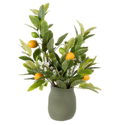 ROGUE CITRUS LEAF - MALIAH POT GREEN image 0