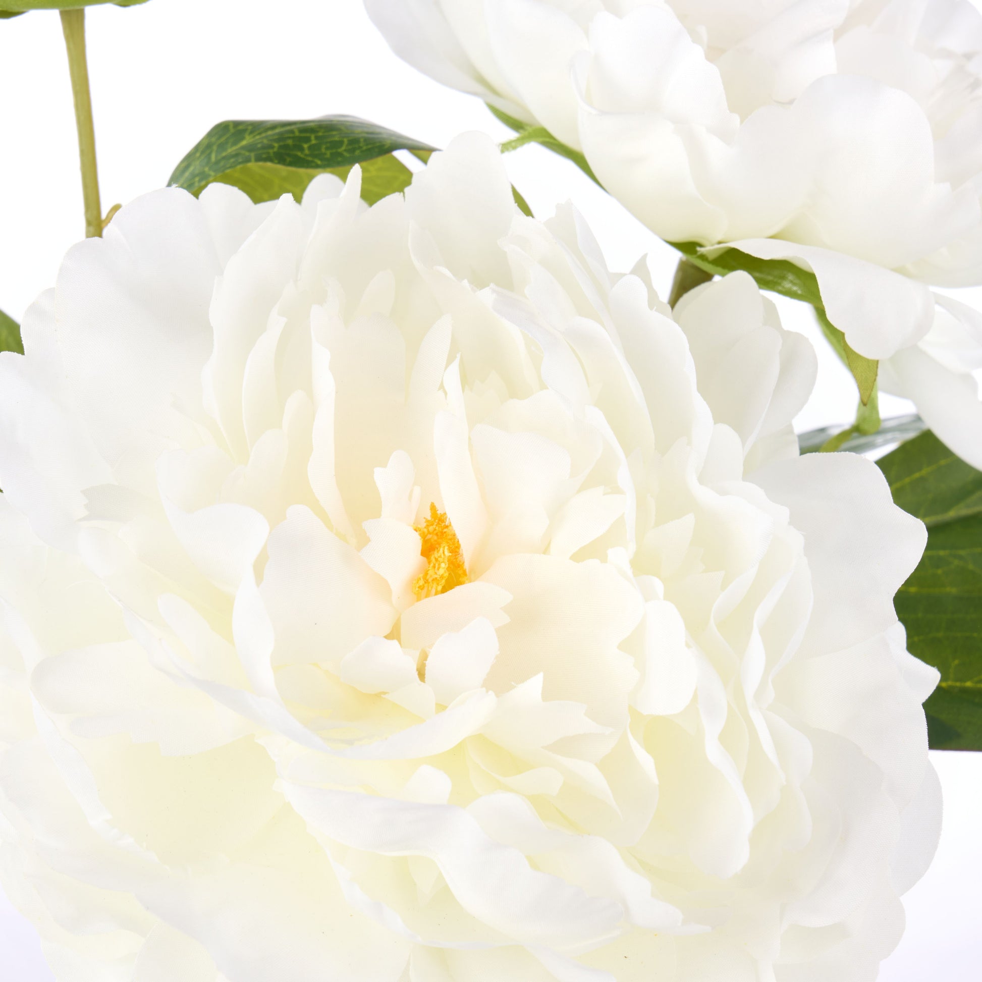 ROGUE PEONY STEM-PAULINE VASE WHITE image 1
