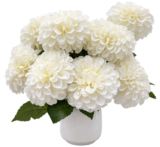 Chrysanthemum potted flower Display - Gianna Pot White
