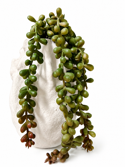 String of Pearls