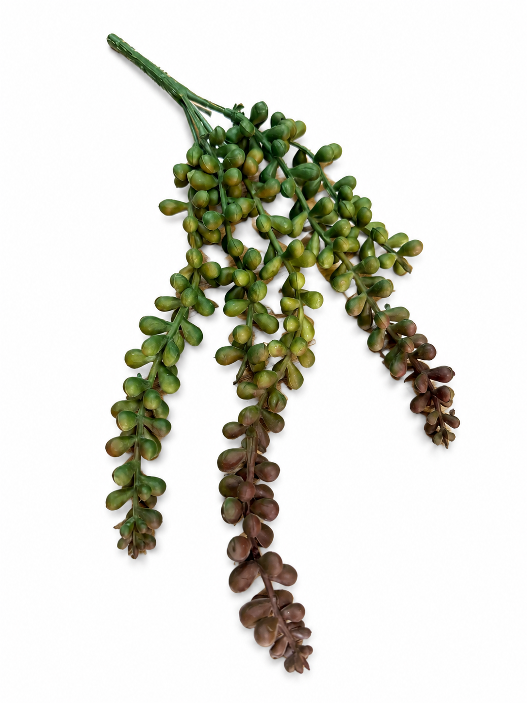String of Pearls