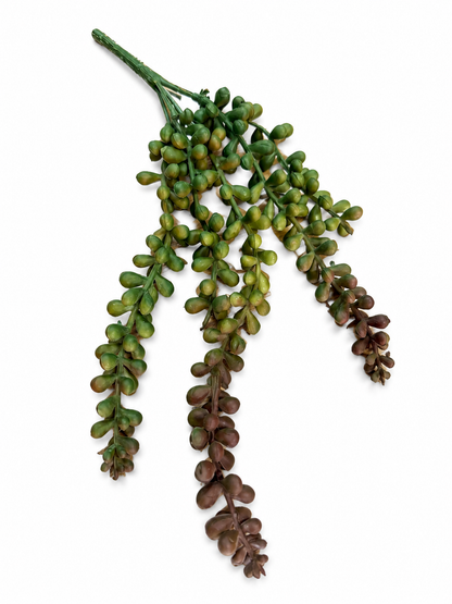 String of Pearls
