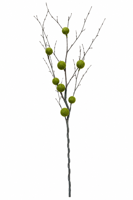 Moss Ball Branch