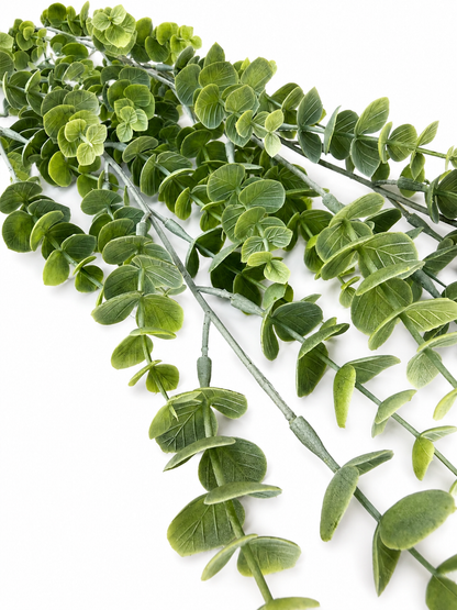 Silver Leaf Hanging Bush