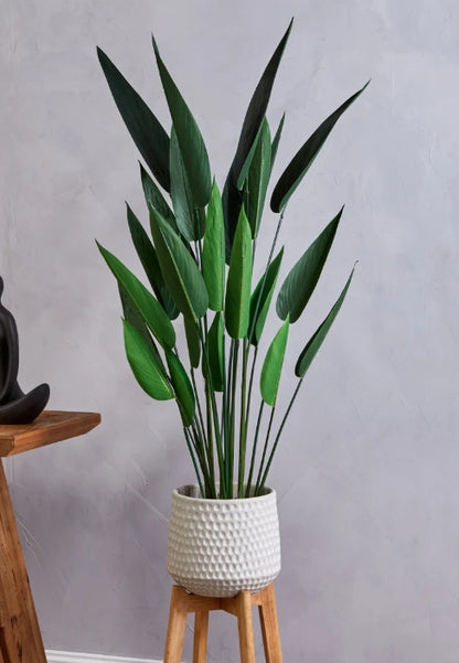 Sky Bird Plant Green - 130cm