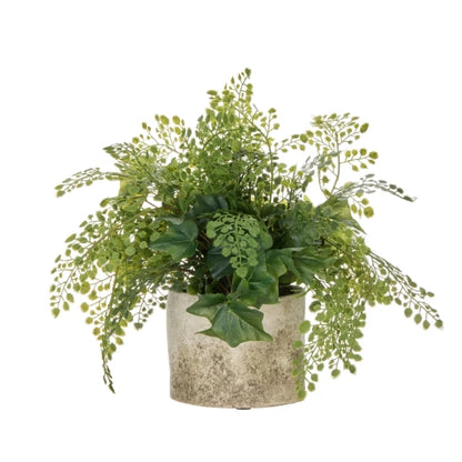 Maiden Ivy - Edith Green Table Display