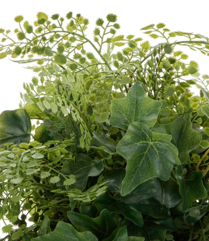 Maiden Ivy - Edith Green Table Display