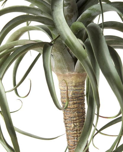 Aloe Artificial Tree Green - 107cm