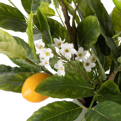 ROGUE CITRUS LEAF - MALIAH POT GREEN image 1