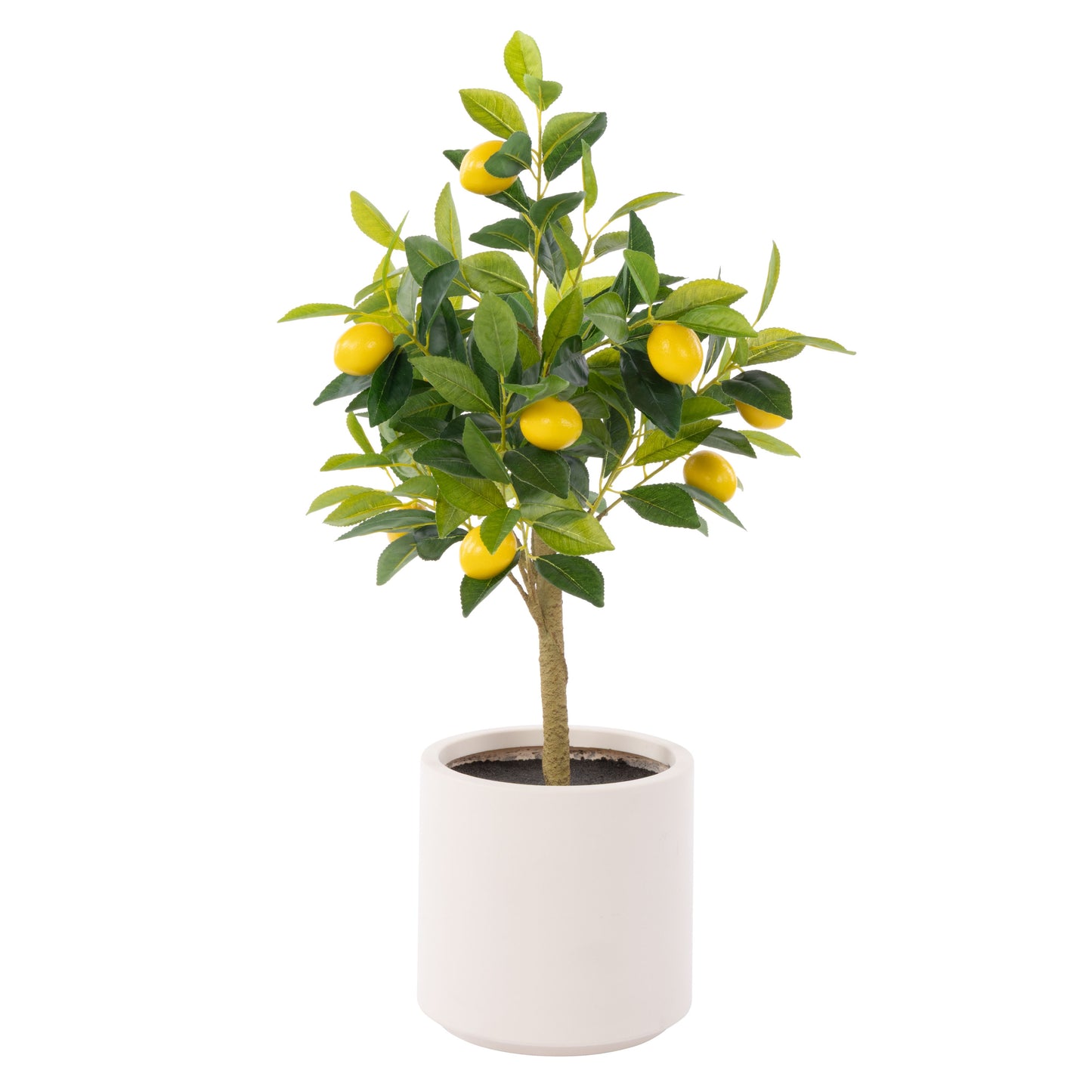 ROGUE LEMON TREE POT GREEN image 0
