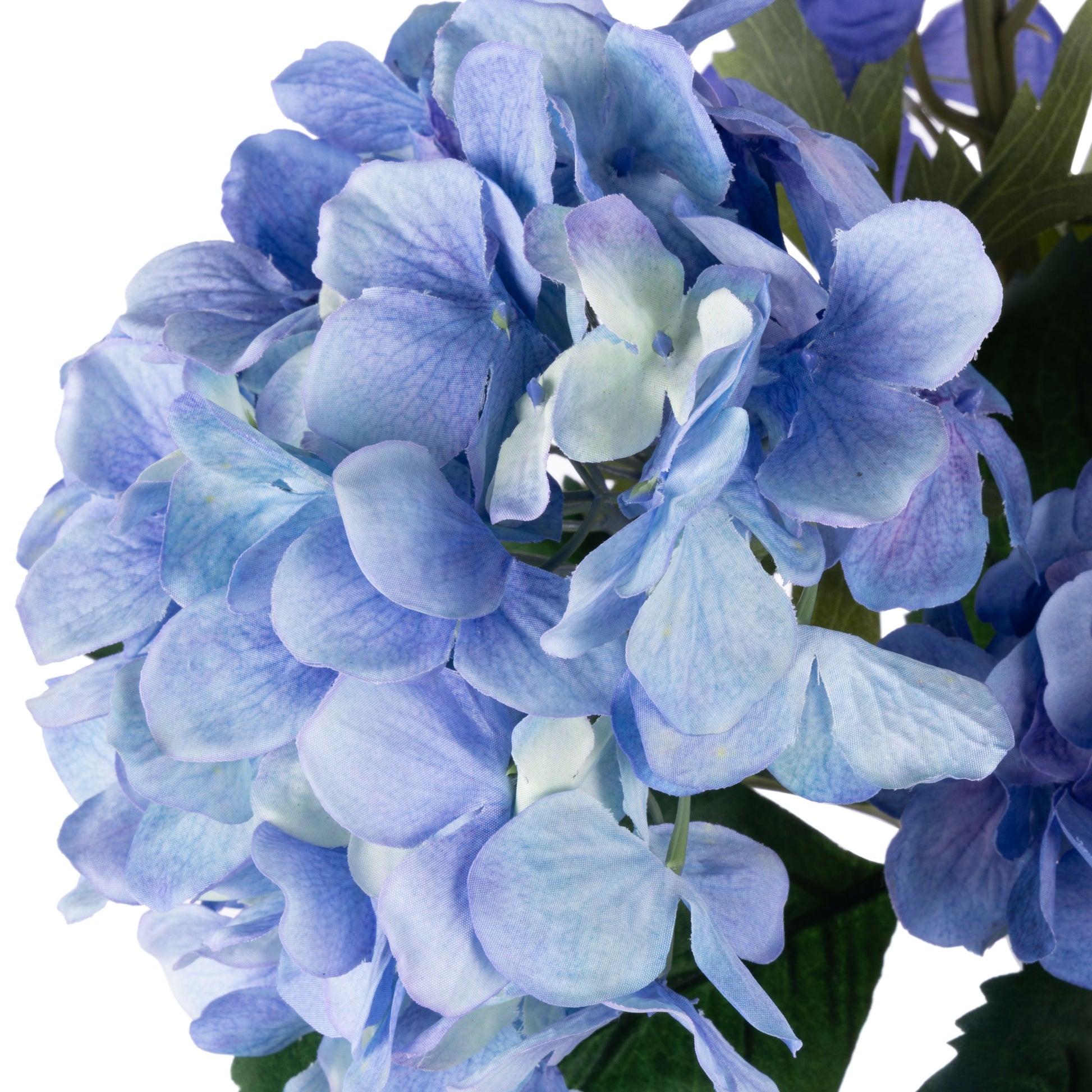 ROGUE DELPHINIUM MIX - ALANA VASE BLUE image 1