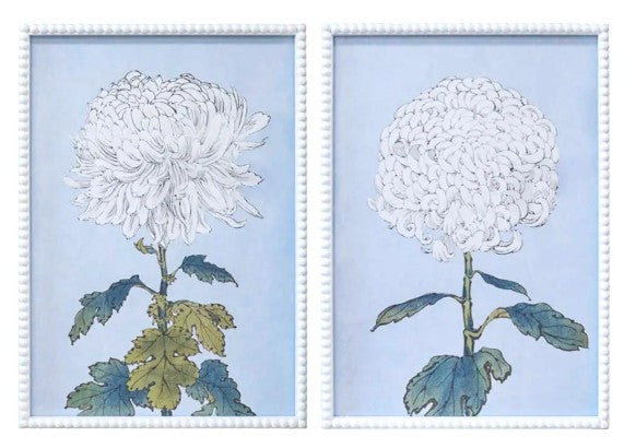 Bubble Framed Prints White Flowers PAIR
